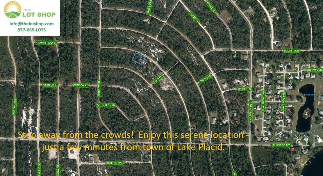 Slide 7